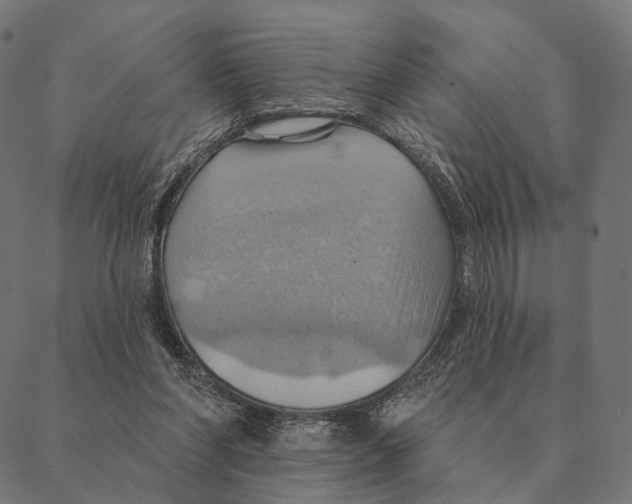 X0000087350206200705181135