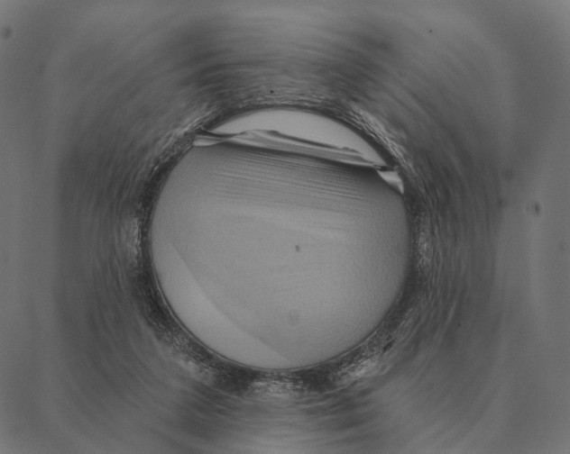 X0000087350211200705181135