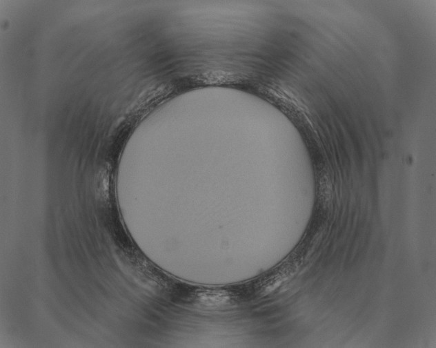 X0000087350214200705181135