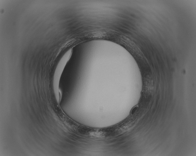 X0000087350216200705181134