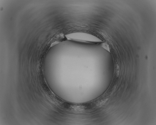 X0000087350221200705181134