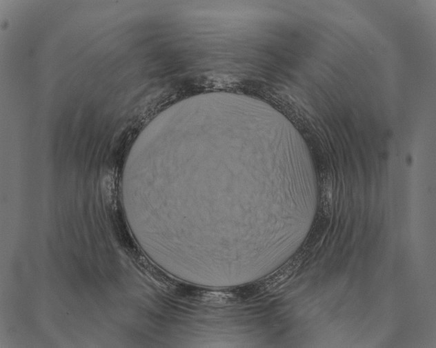 X0000087350222200705181134