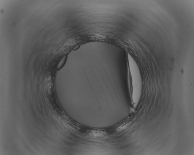 X0000087350223200705181134