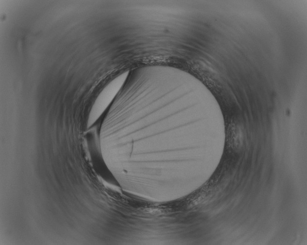 X0000087350224200705181134