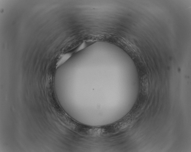 X0000087350225200705181134