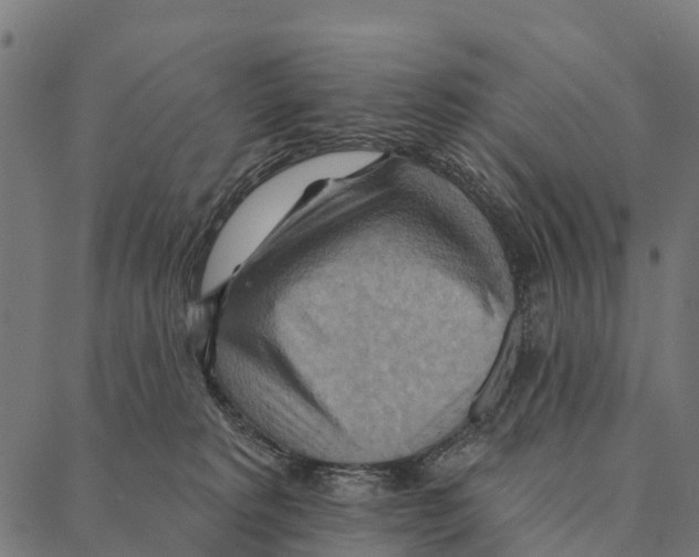 X0000087350229200705181134