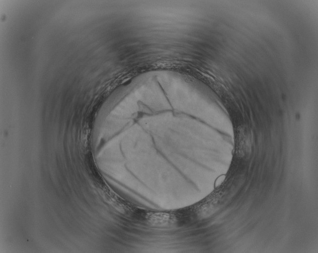 X0000087350230200705181134