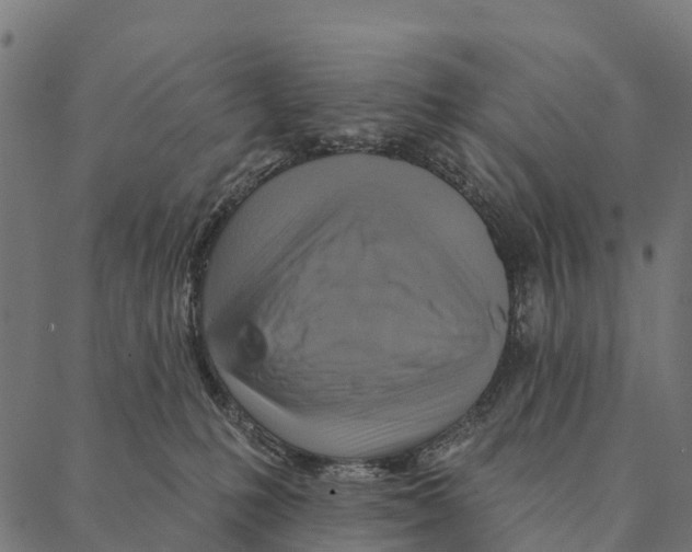 X0000087350231200705181134