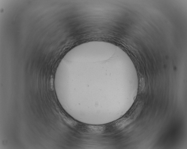 X0000087350234200705181134