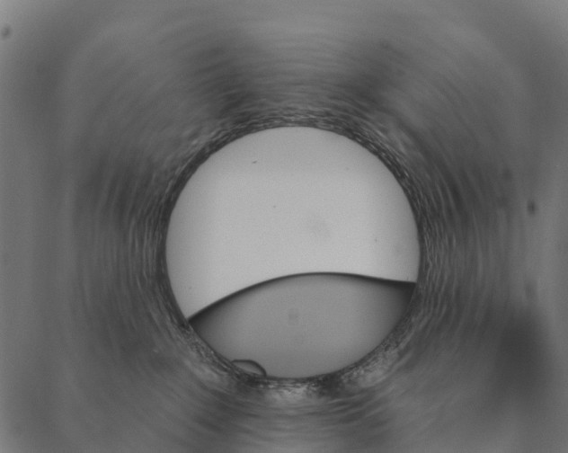 X0000087350235200705181134