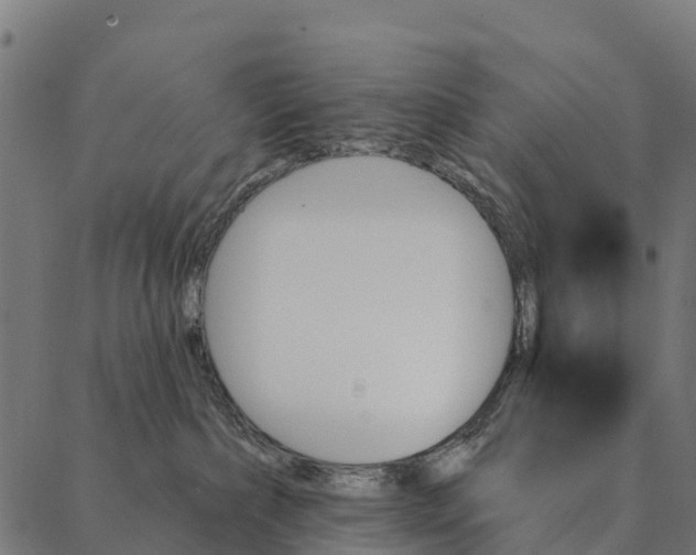 X0000087350236200705181134