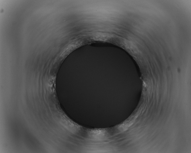 X0000087350237200705181134