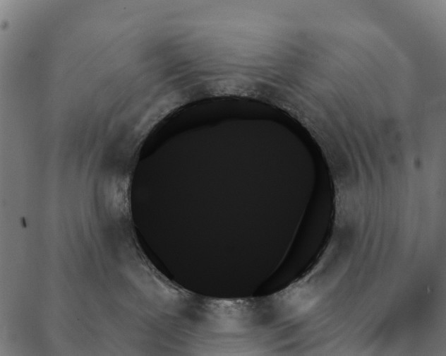 X0000087350239200705181134