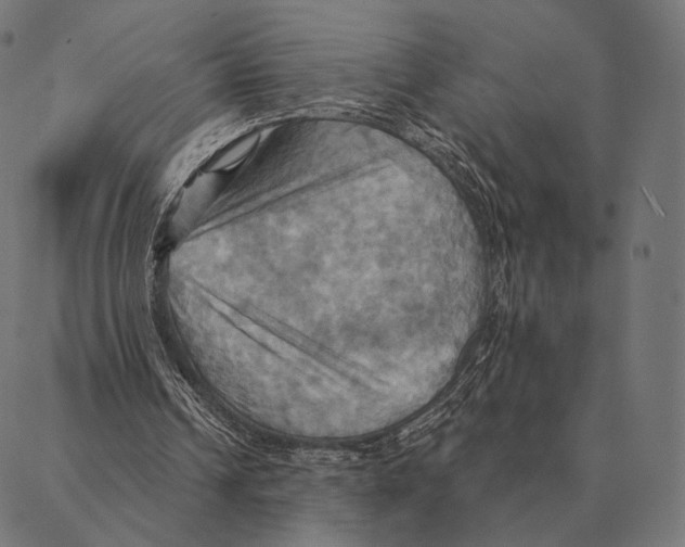 X0000087350242200705181133