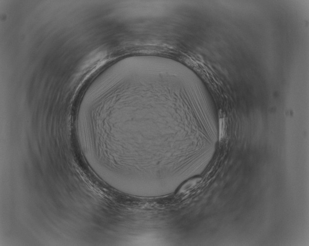 X0000087350243200705181133