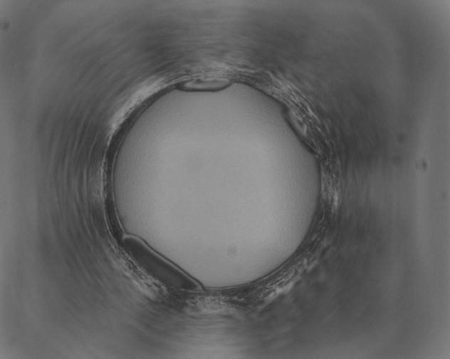 X0000087350244200705181133