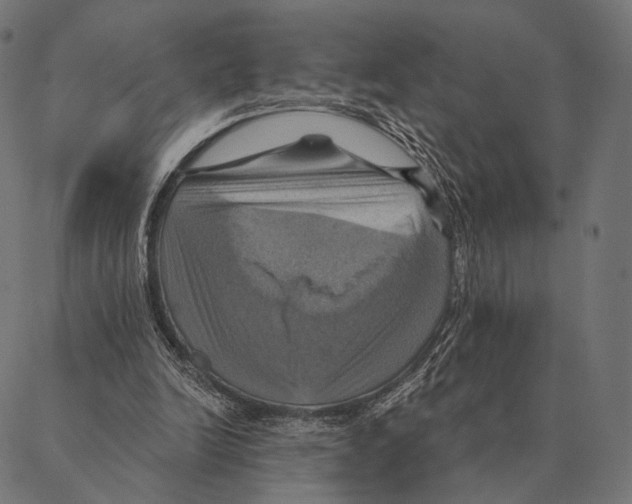 X0000087350246200705181133