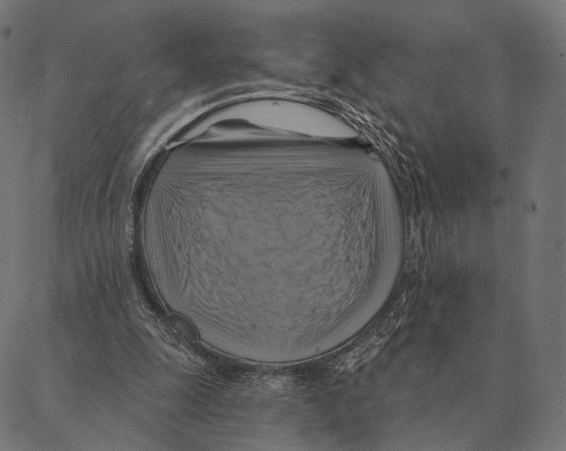 X0000087350247200705181133