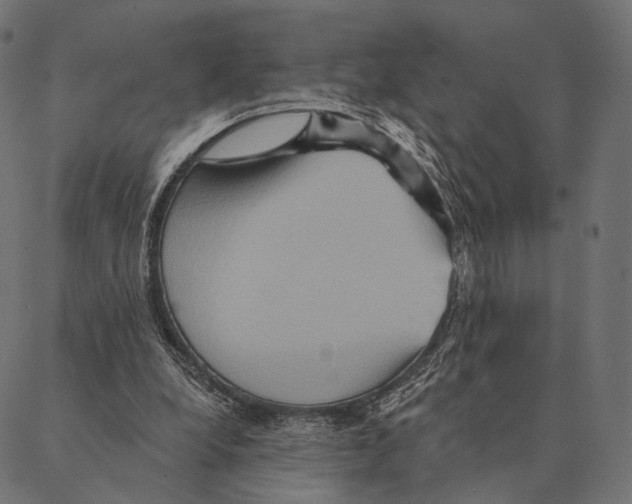 X0000087350248200705181133