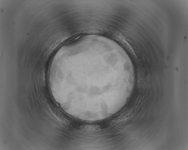 X0000087350251200705181133