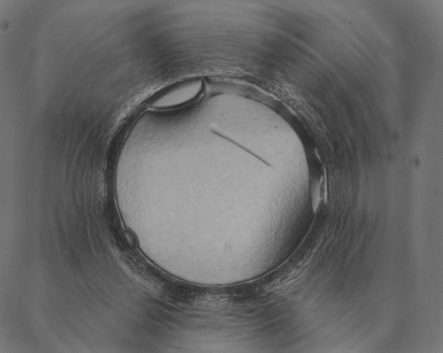 X0000087350252200705181133