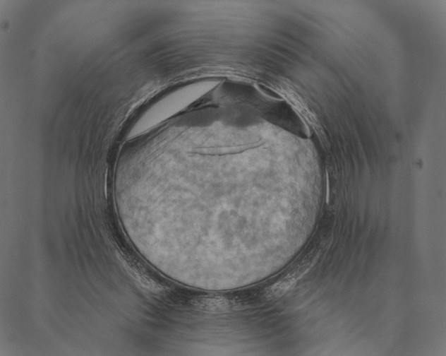 X0000087350253200705181133