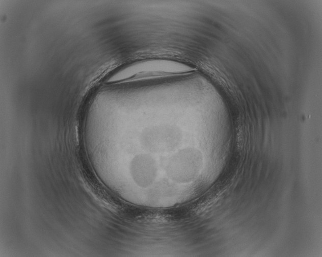 X0000087350254200705181134