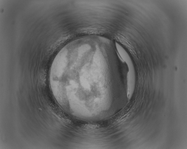 X0000087350255200705181134