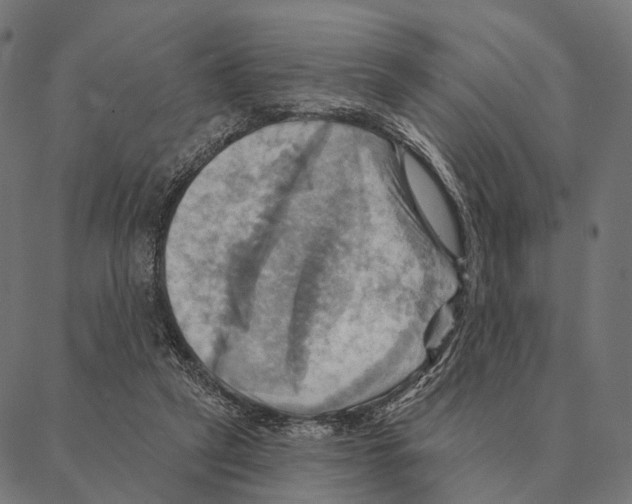 X0000087350257200705181134