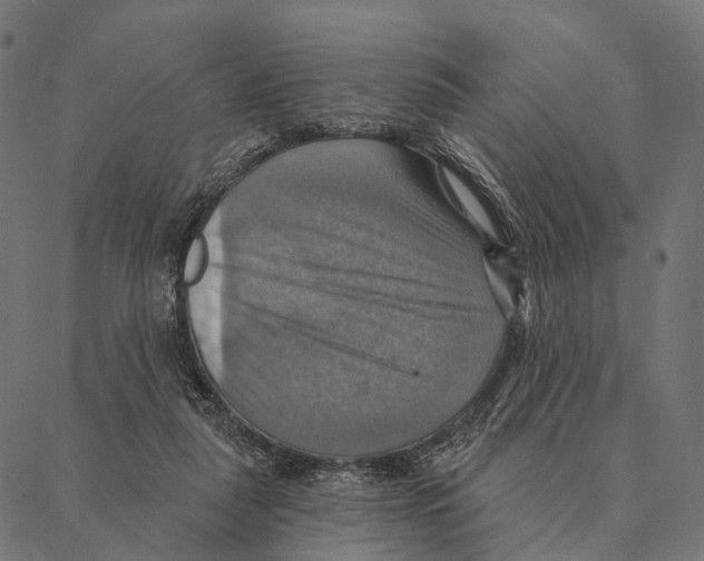 X0000087350259200705181134