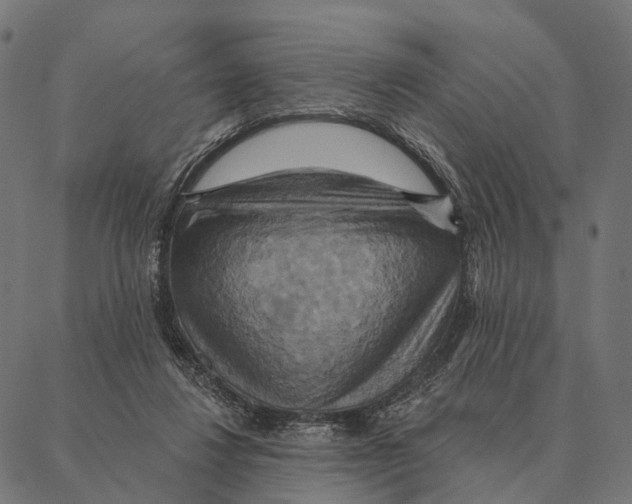 X0000087350260200705181134