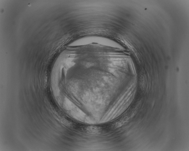 X0000087350261200705181134