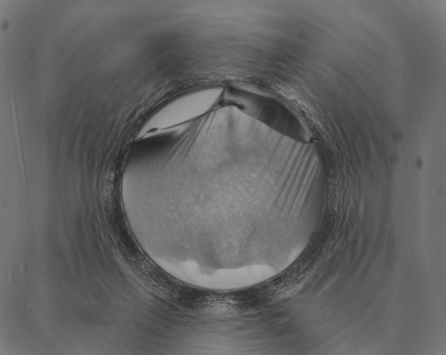 X0000087350263200705181134