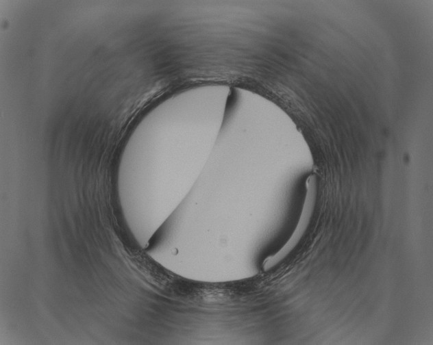 X0000087350264200705181134