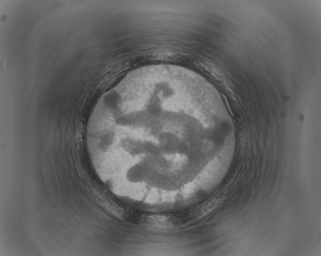 X0000087350265200705181134