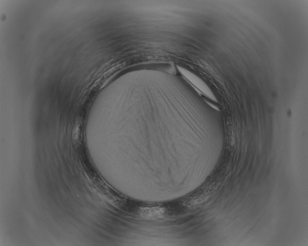 X0000087350266200705181134