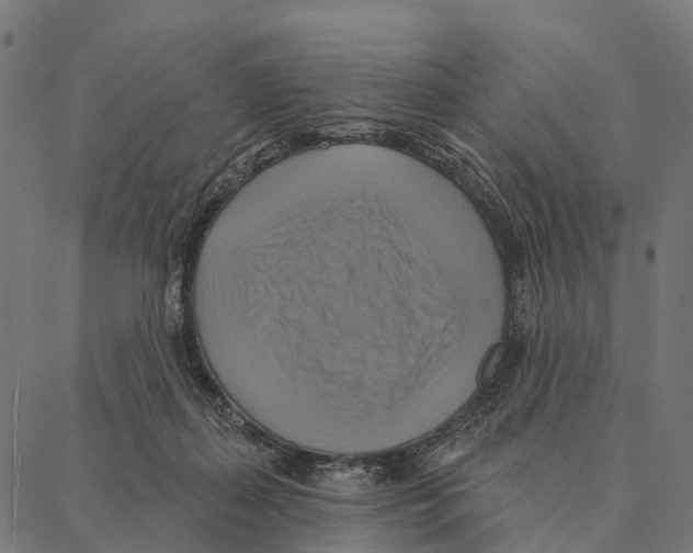 X0000087350267200705181134