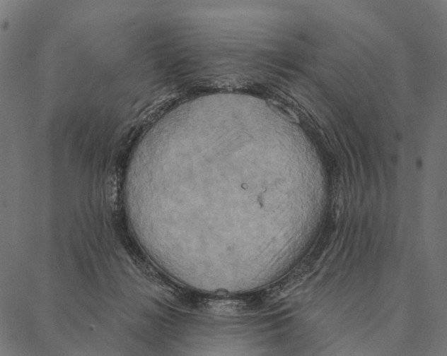 X0000087350268200705181134