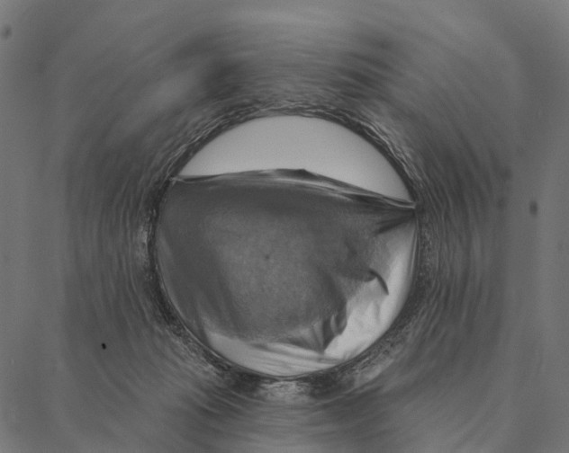 X0000087350269200705181134