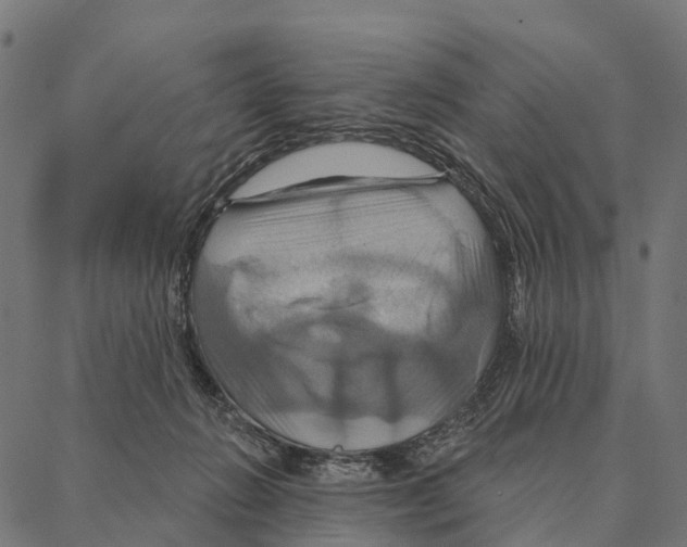 X0000087350270200705181134