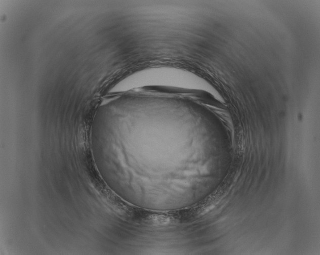 X0000087350272200705181134