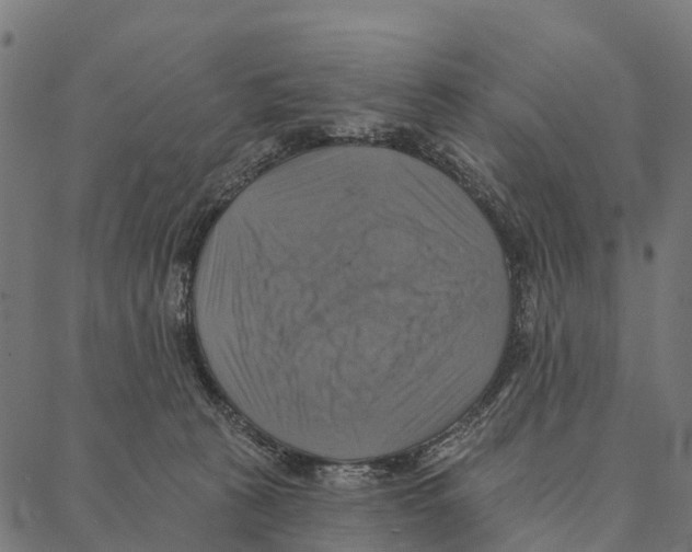 X0000087350273200705181134