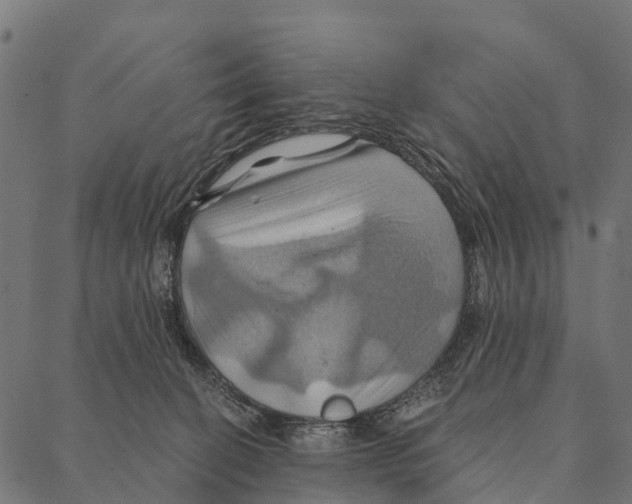 X0000087350274200705181134