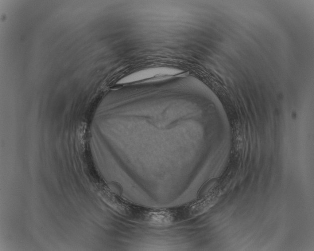 X0000087350275200705181134