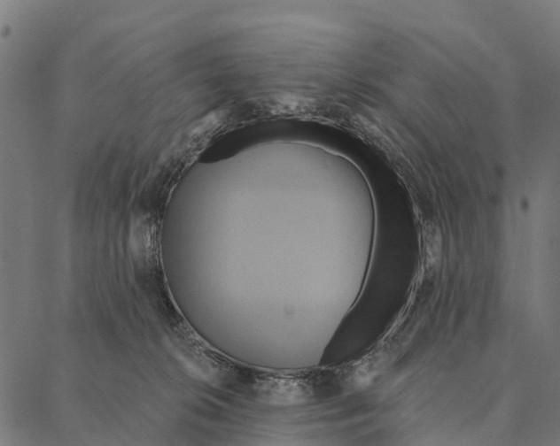 X0000087350276200705181134