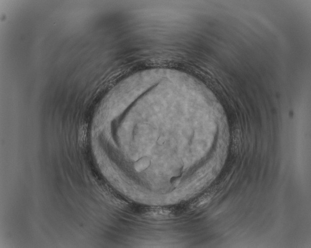 X0000087350278200705181134