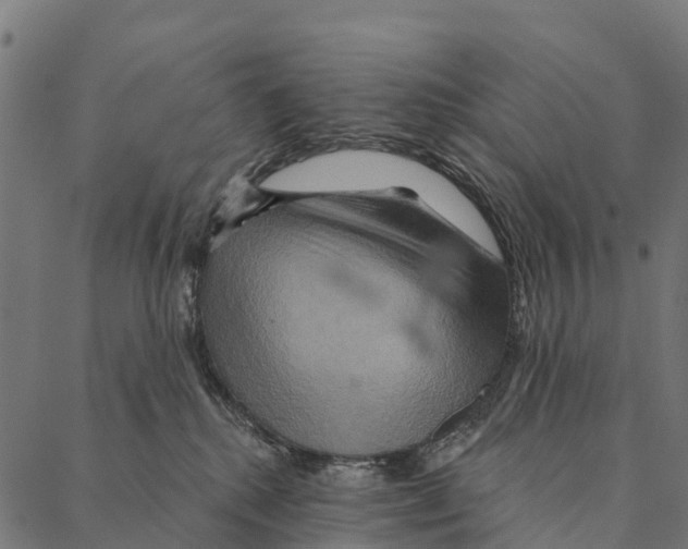 X0000087350280200705181134