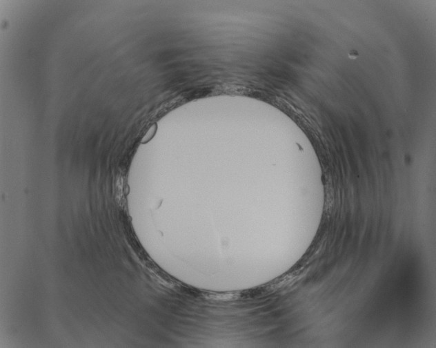 X0000087350281200705181134