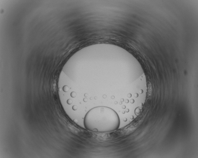 X0000087350282200705181134