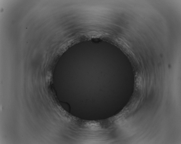 X0000087350283200705181134